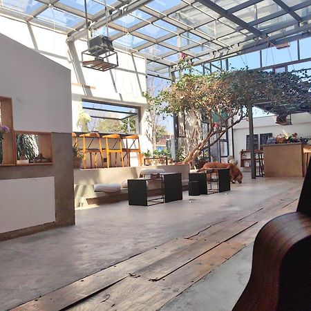 Dali Loft Travelling With Hostel ภายนอก รูปภาพ