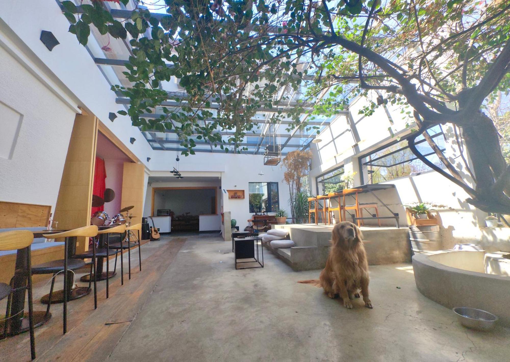 Dali Loft Travelling With Hostel ภายนอก รูปภาพ